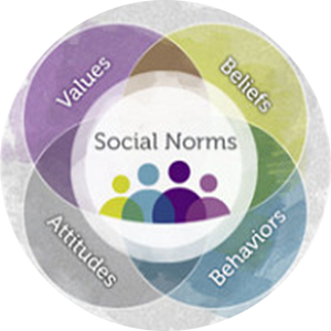 Social Norms