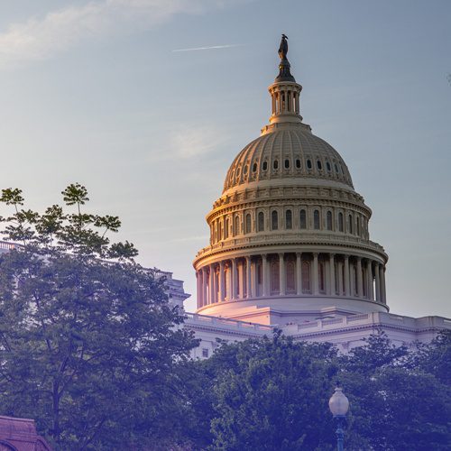 U.S. Capitol Building